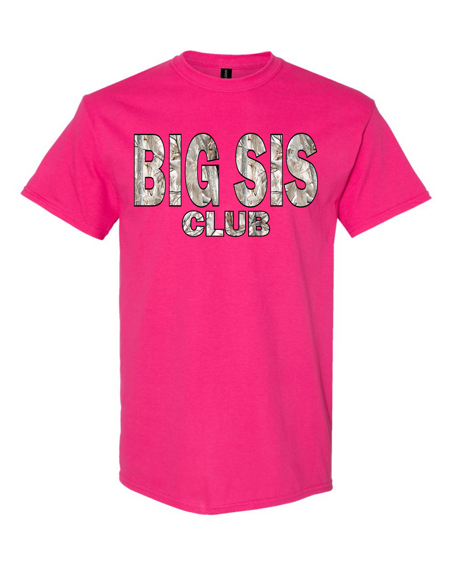 Big Sis Club